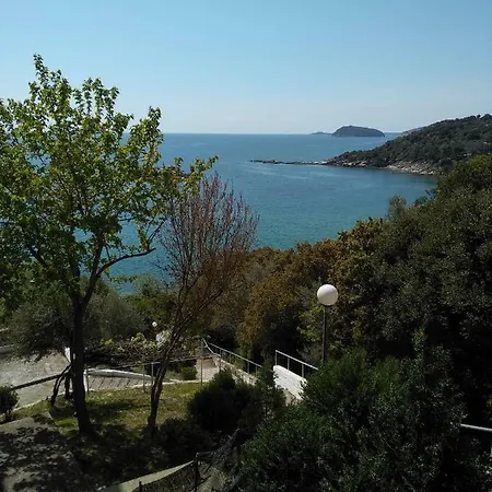 Absolut View *